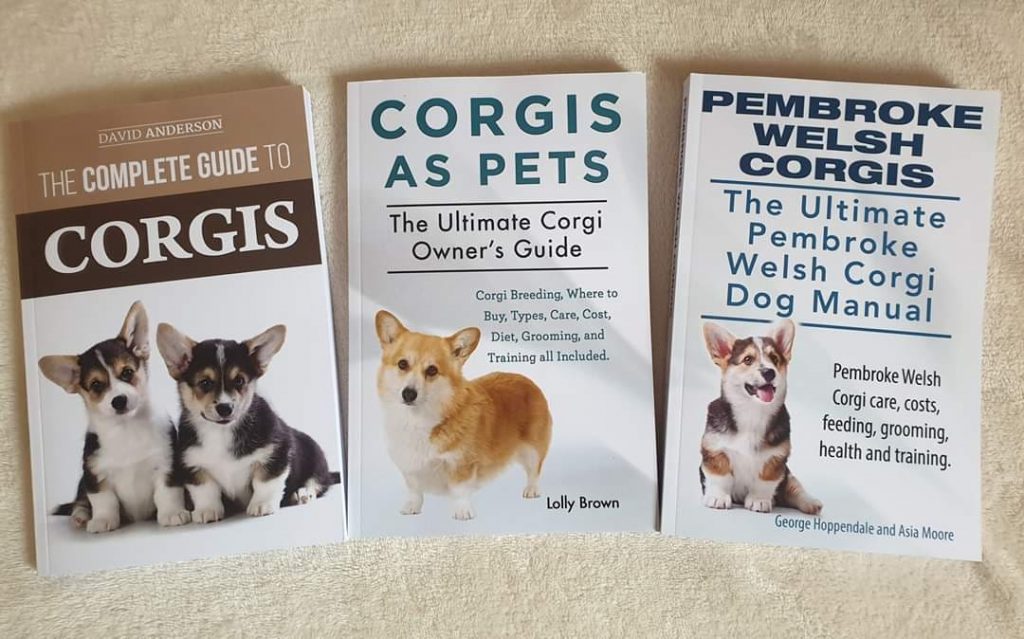 Corgi books