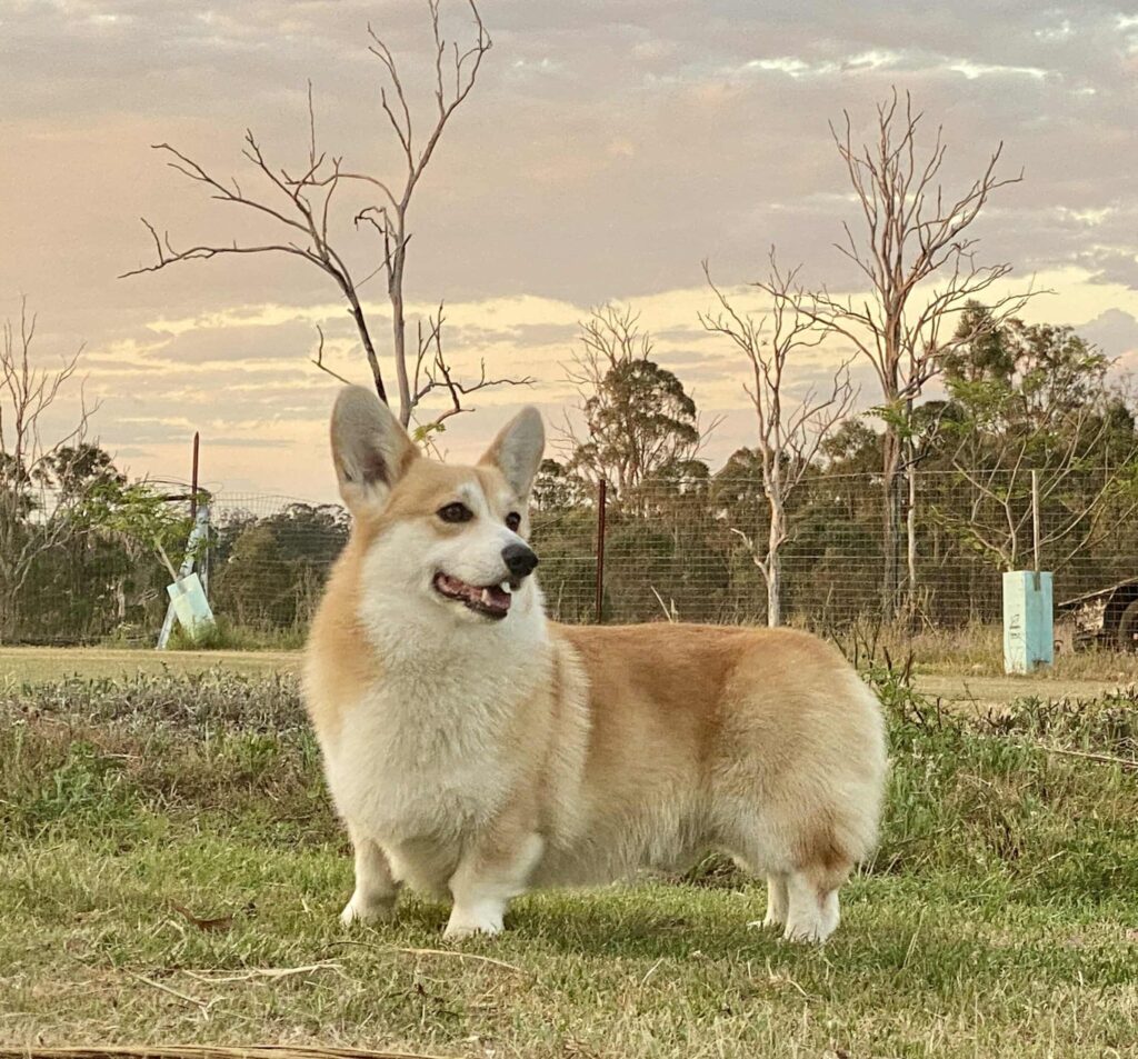 Born To Be Your Signature