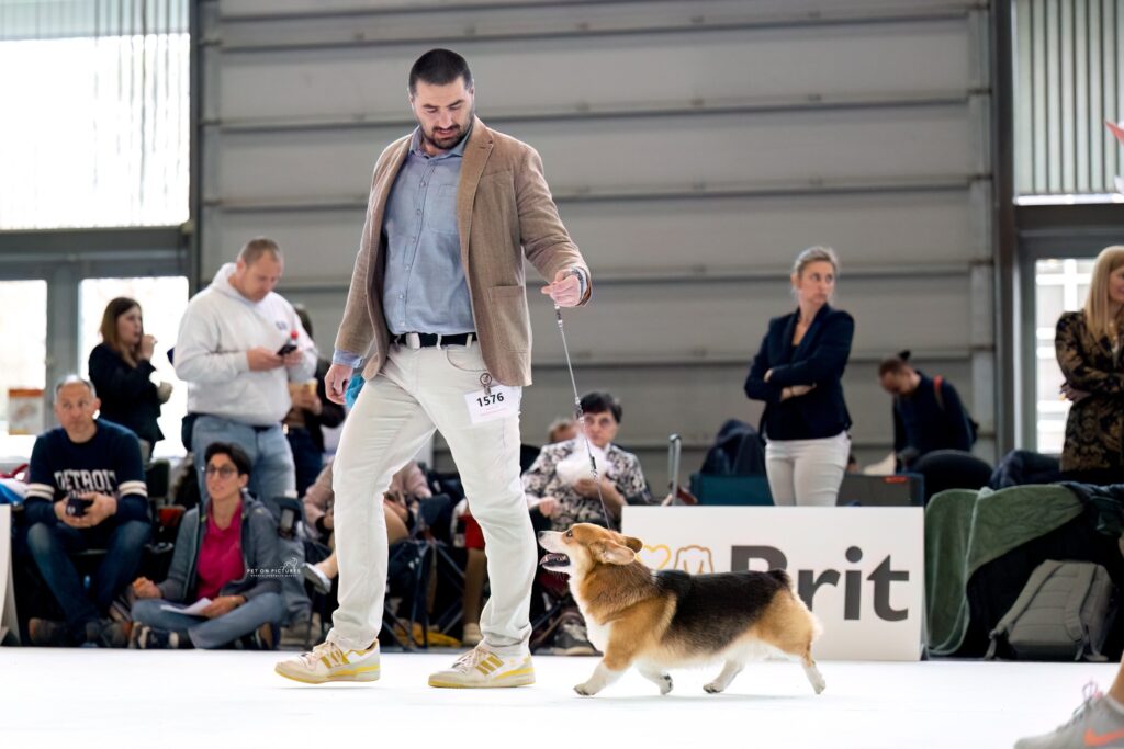 Hail To Victory Morgerton - Panda EDS 2025