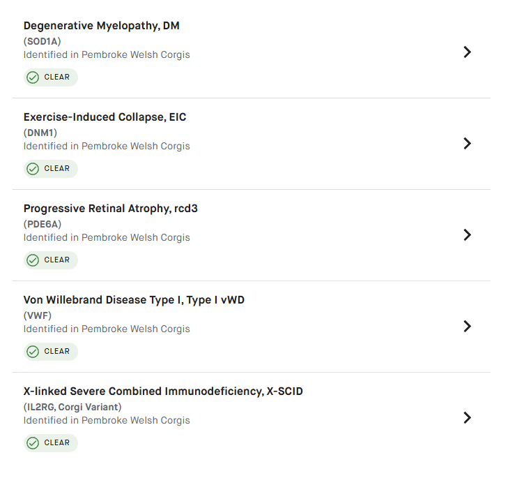 Just Only For Fans Morgerton - Esme Health Result