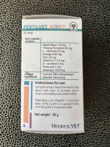 Kanoknak Morgerton Welsh Corgi Pembroke