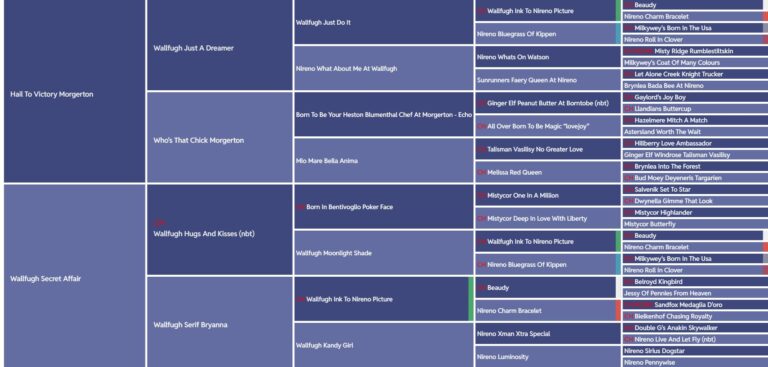 Hail To Victory Morgerton Panda - Wallfugh Secret Affair Sacika Line